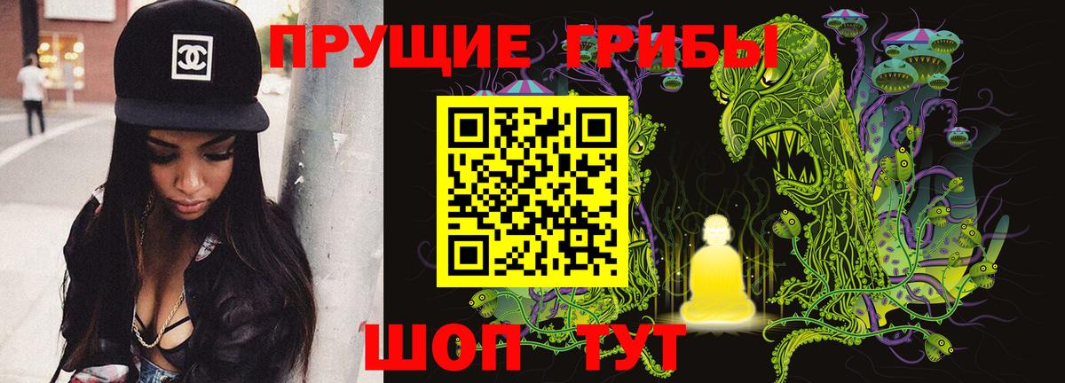 Псилоцибиновые грибы MAGIC MUSHROOMS  Вход с VPN  Таганрог 
