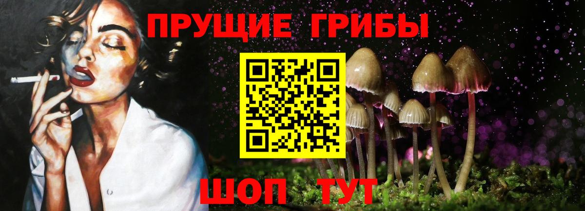 Галлюциногенные грибы прущие грибы Таганрог